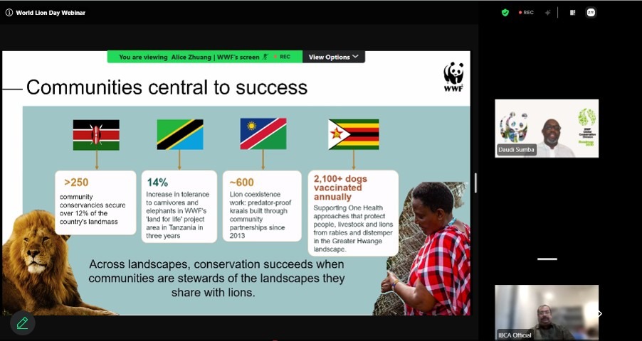 IBCA World Lion Day 2026 Webinar
